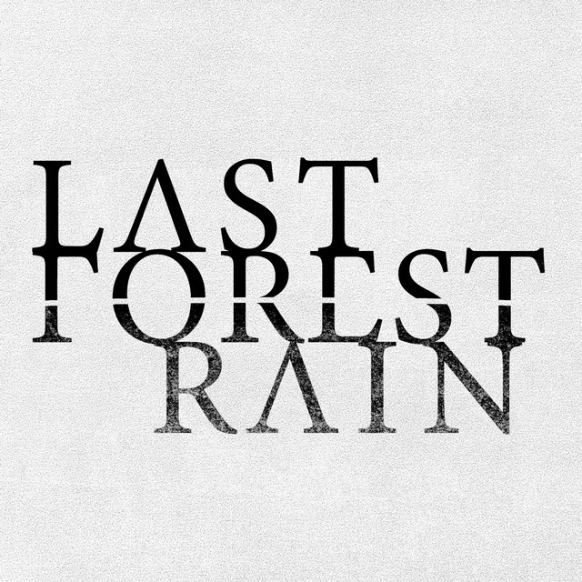 Last Forest Rain