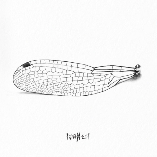 Torheit