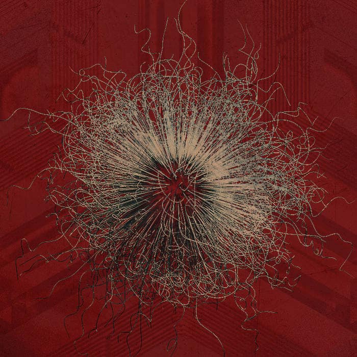 Bleed From Within