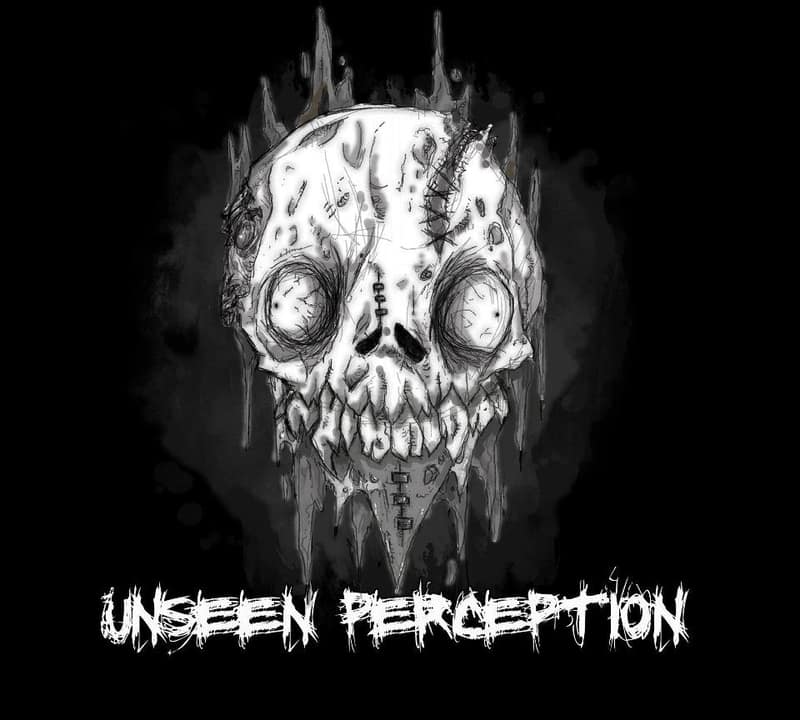 Unseen Perception