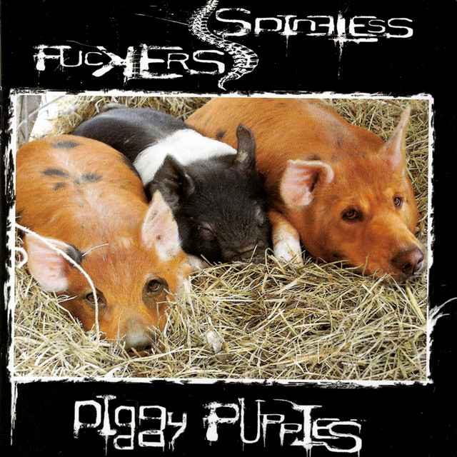 Spineless Fuckers