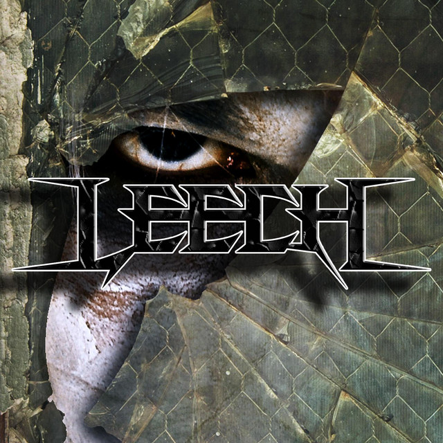 Leech