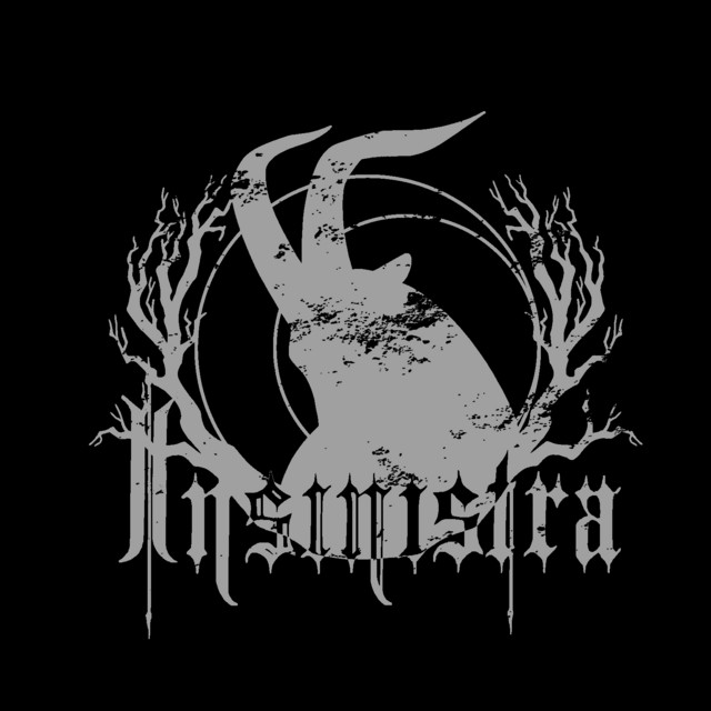 Insinistra