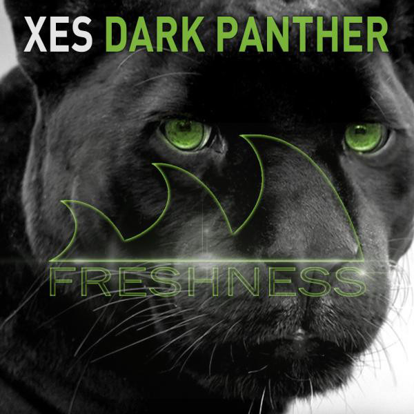 Xes
