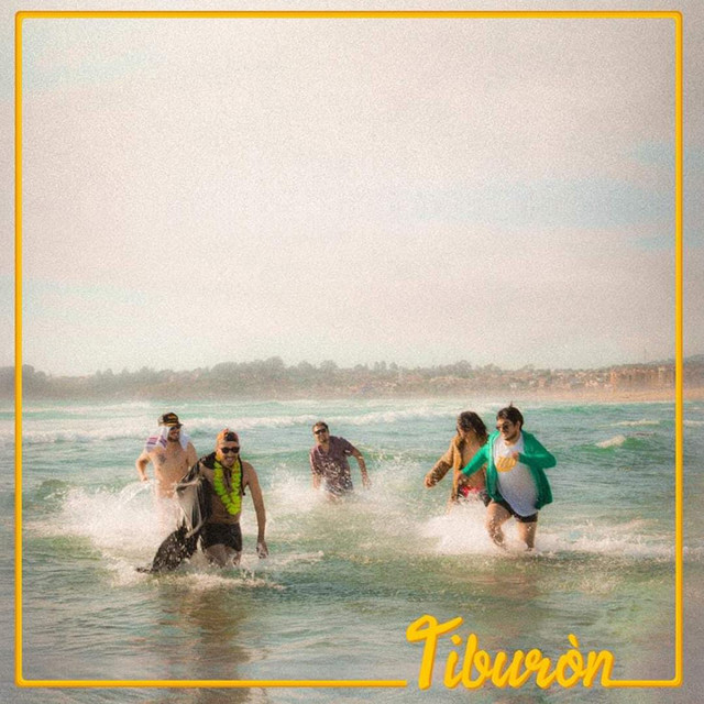 Tiburón