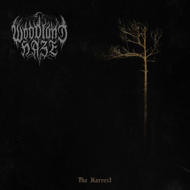 Woodland Haze