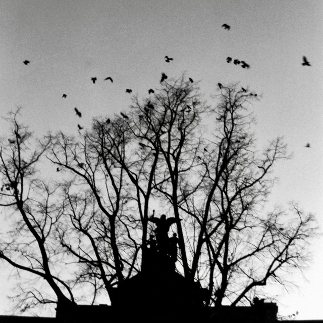Mourning Angel