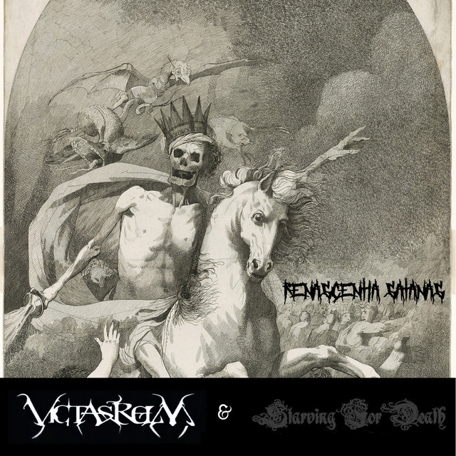 Victasrelm
