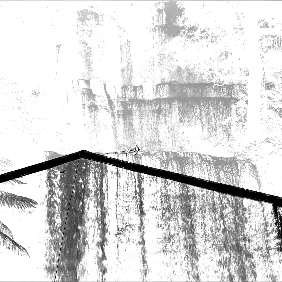 TT044: Talbert Anthony / raven