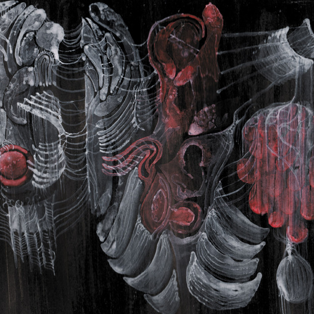 Strigiform