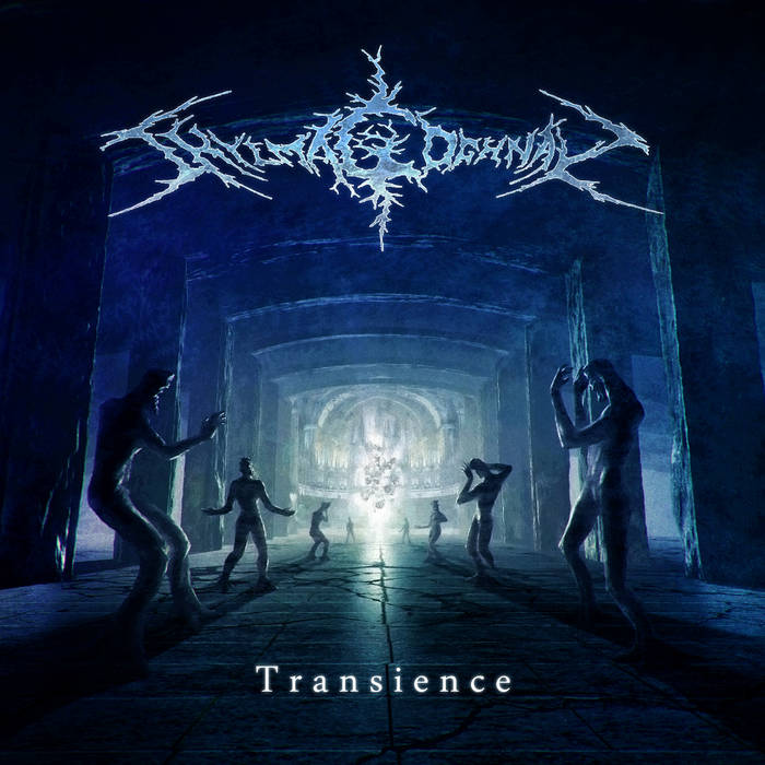 Transience (Digital Single)