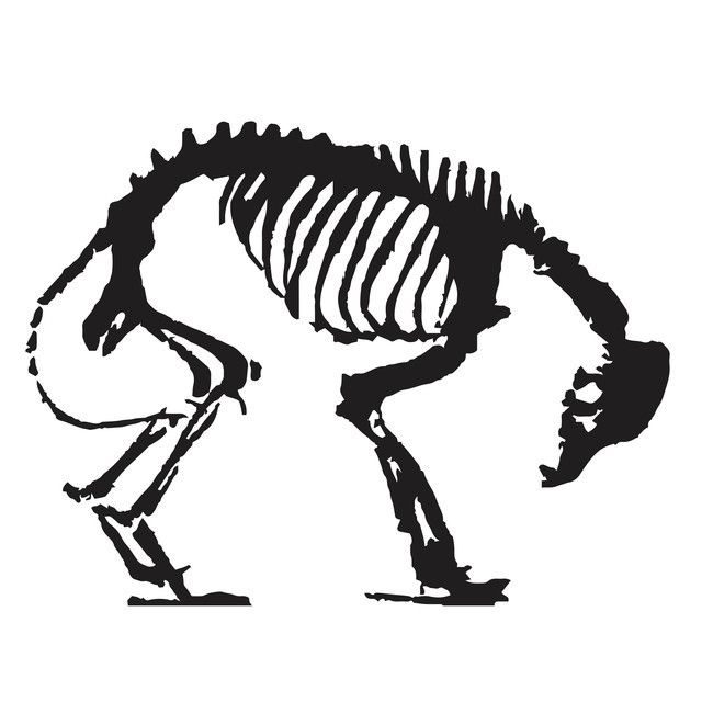 Rankkuri