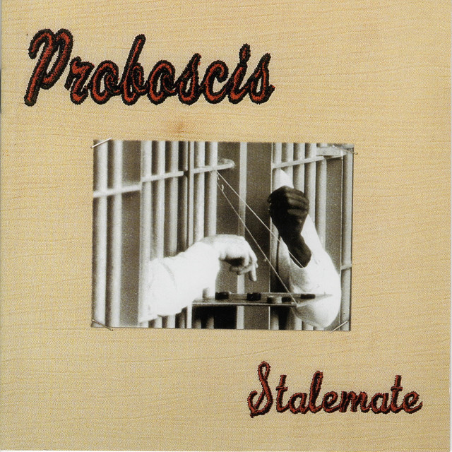 Proboscis