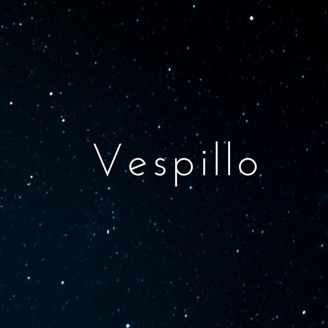 Vespillo