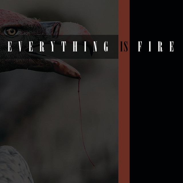 Everything Is Fire