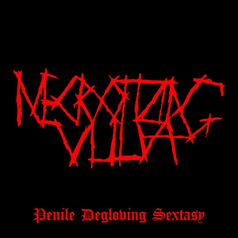 Necrotizing Vulva