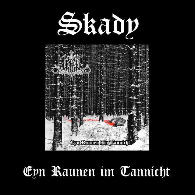 Skady