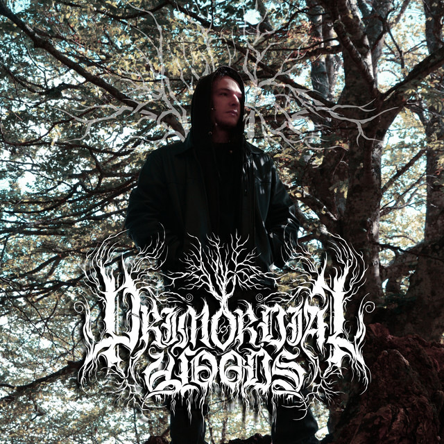 Primordial Woods