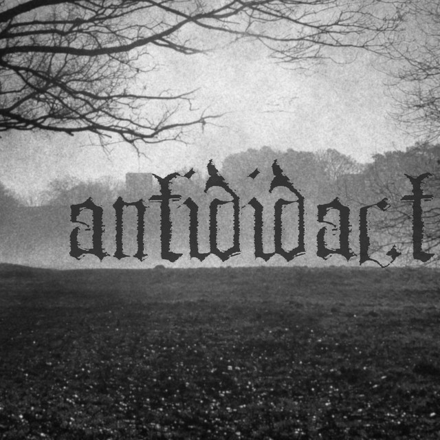 Antididact