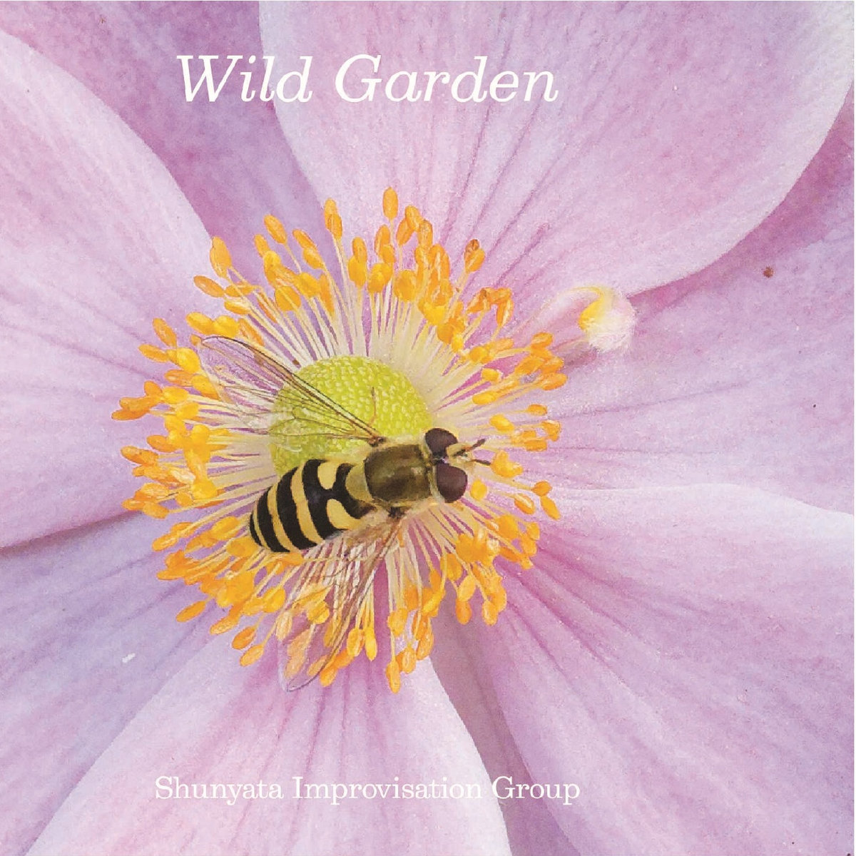 Wild Garden