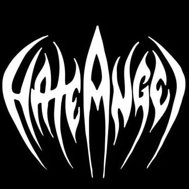 Hate Angel