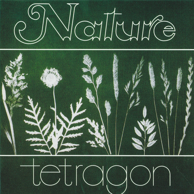 Tetragon