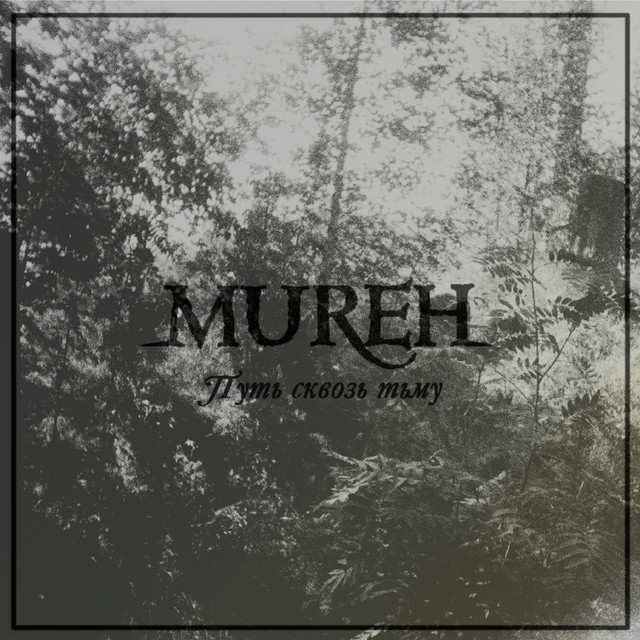 Mureh