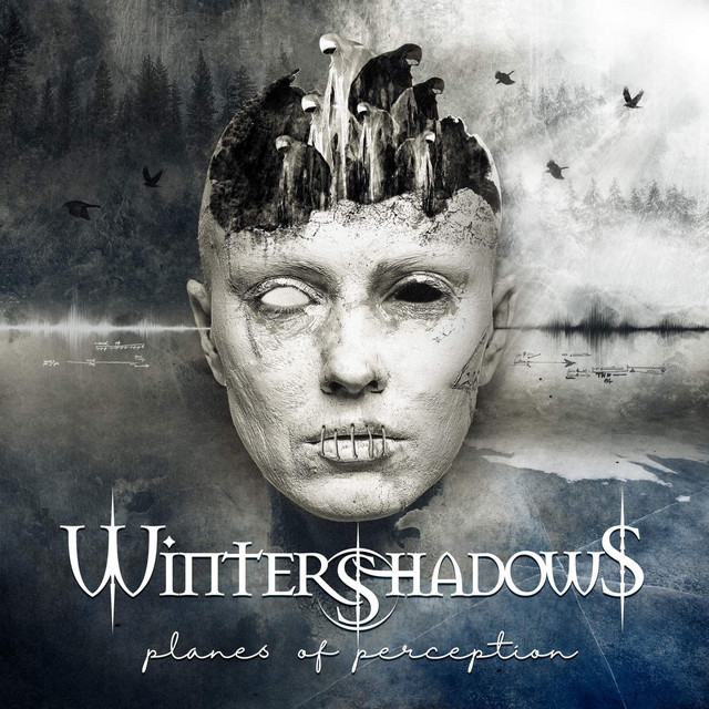 Wintershadows