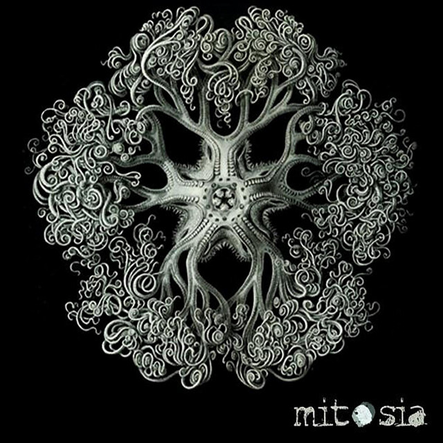 Mitosia