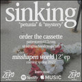 Misshapen World Promo