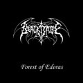 Forest of Edoras