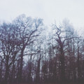 Les Avatars du Vide - EP