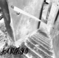 s/t CD