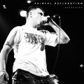 DegraDemo (2006) (FREE DOWNLOAD)