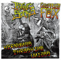 CRIPPLED FOX / BITING SOCKS -Hermanos Thrashing Unidos split Ep