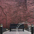 Always Forever By Cults (Single)