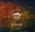 Killsorrow