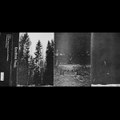 Demo 2018 tape rip