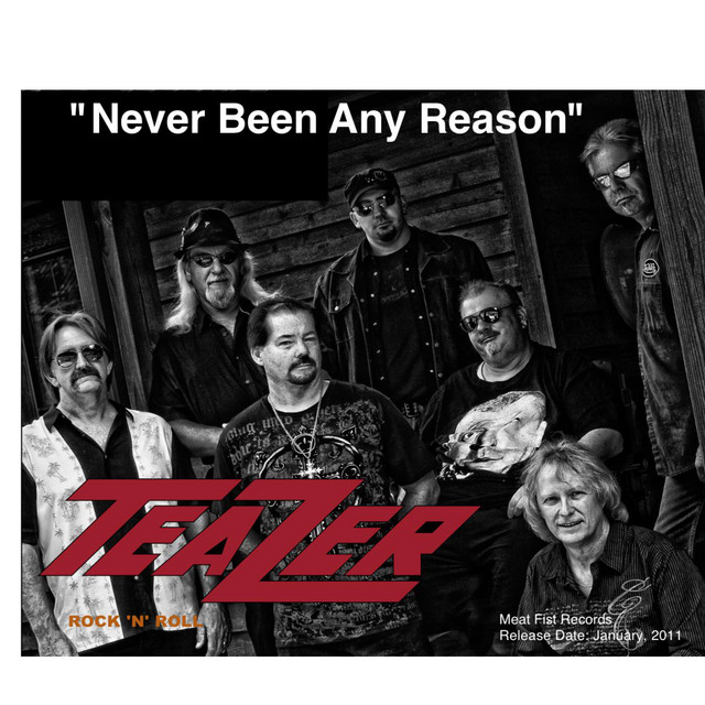 Never Been Any Reason - Single