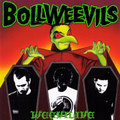Weevilive