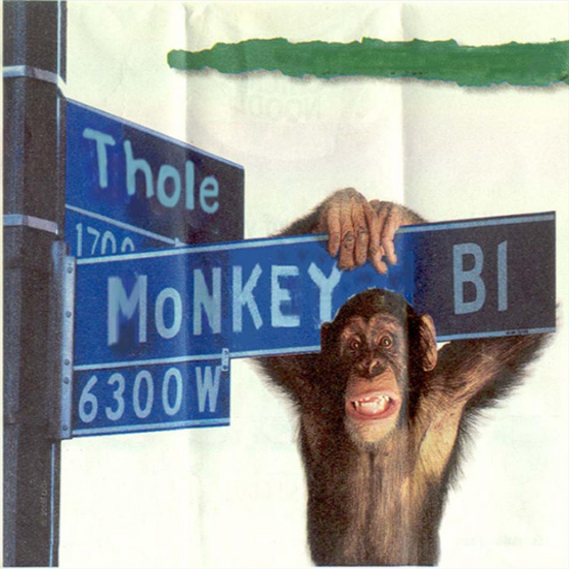 Monkey Boulevard