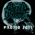 PROMO 2011