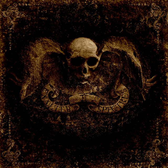 II - Exalted Spectres