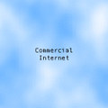 Pinealweb