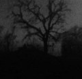 Void