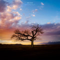 Dissolution | Album