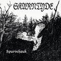 Spurvehauk