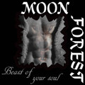 Beast of Your Soul