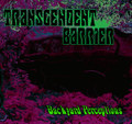 Backyard Perceptions Demo