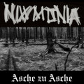 Asche zu Asche